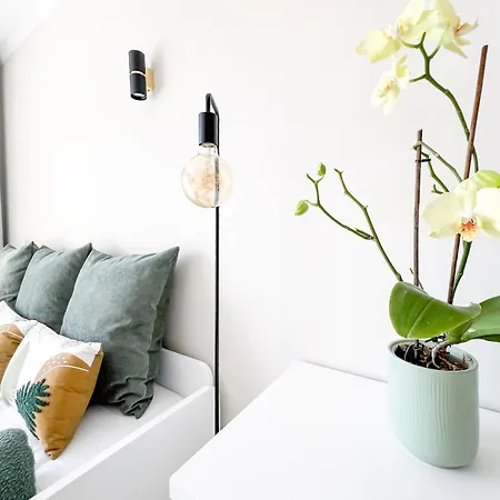 Marachique Sunlime Apartamento *