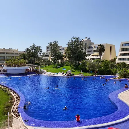 Marachique Sunlime *