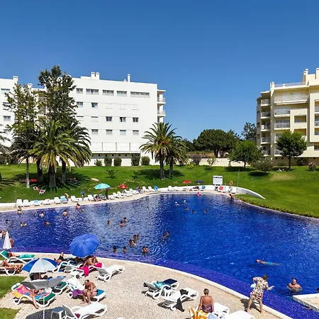 Marachique Sunlime *