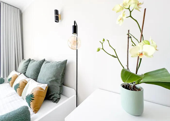 Marachique Sunlime Lejlighed *