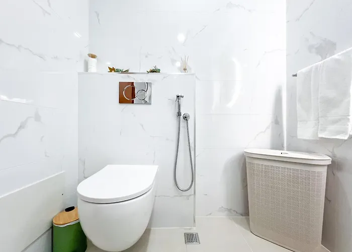 Marachique Sunlime *