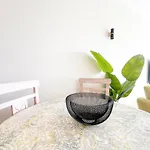 Marachique Sunlime Apartament